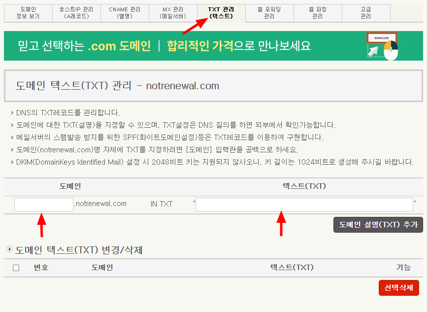 dnszi.com의 TXT 관리 화면. 상단 TXT 관리 탭과 도메인·텍스트(TXT) 입력칸이 화살표로 표시되어 있다