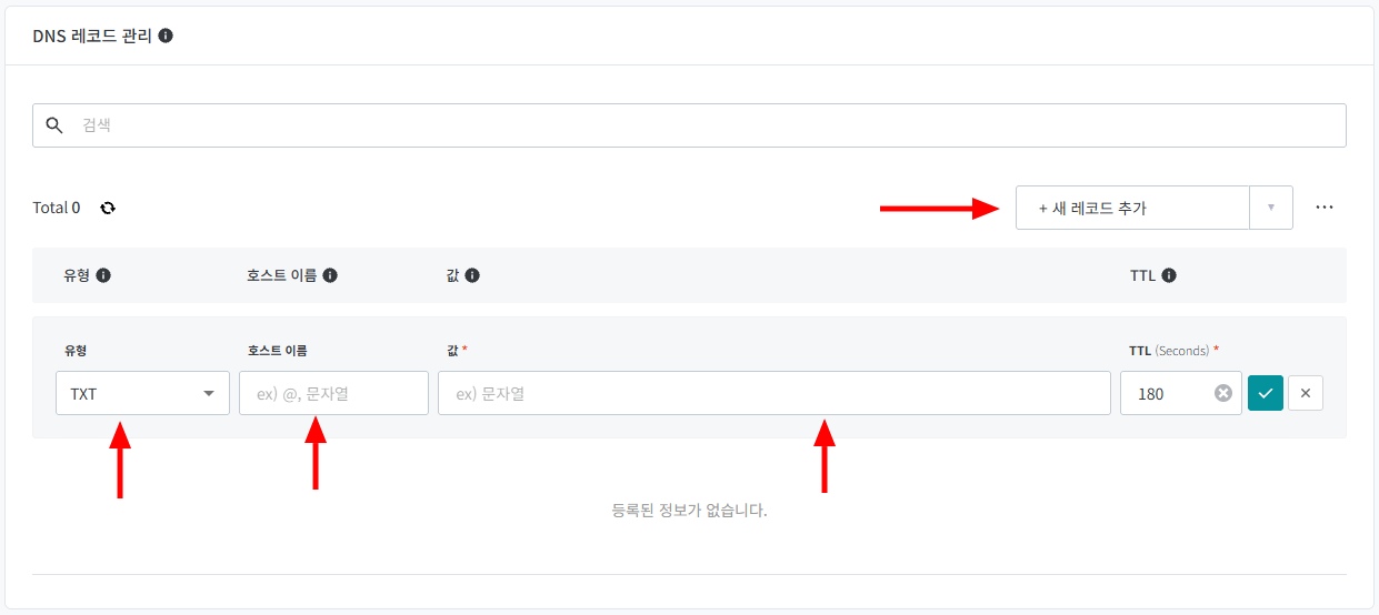hosting.kr의 새 레코드 입력 줄. 유형 TXT 선택칸과 호스트 이름·값 입력칸이 화살표로 표시되어 있다
